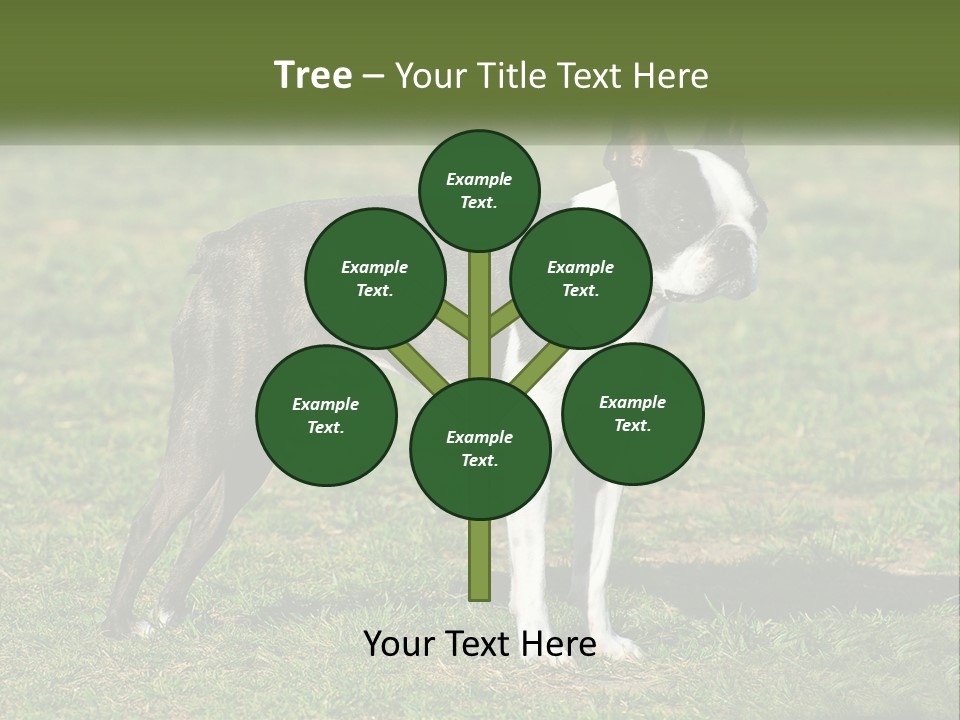 Ownership Home Loan PowerPoint Template