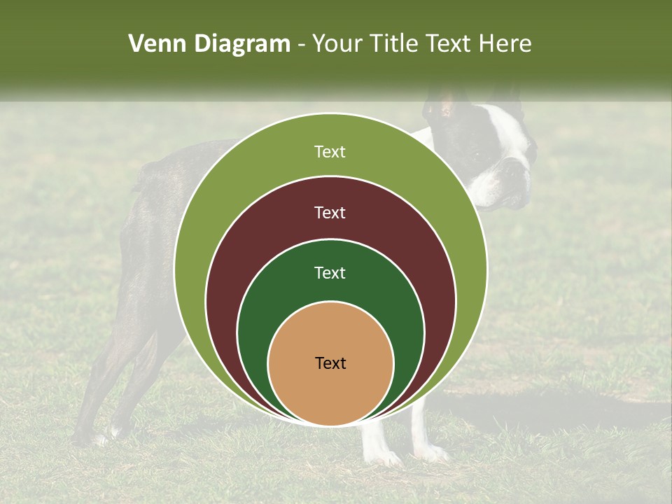 Ownership Home Loan PowerPoint Template