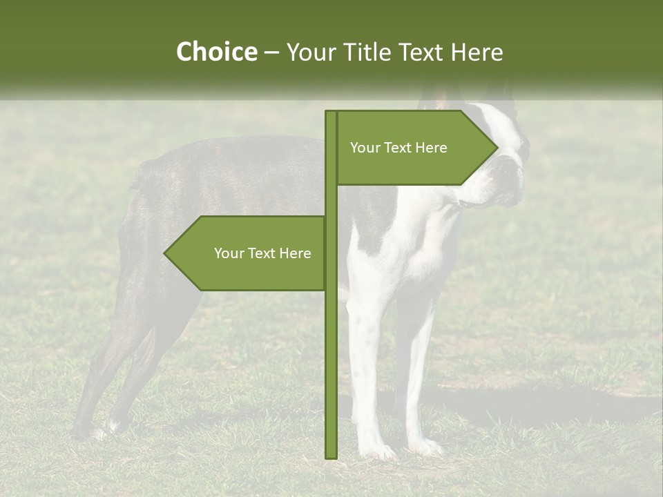 Ownership Home Loan PowerPoint Template