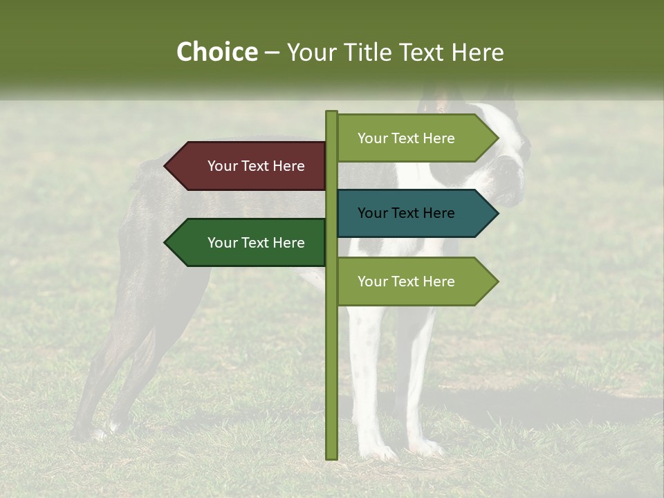 Ownership Home Loan PowerPoint Template