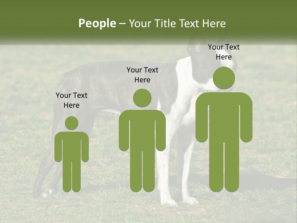 Ownership Home Loan PowerPoint Template