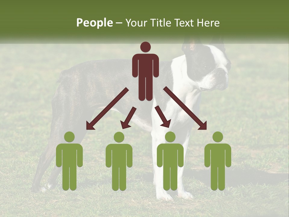 Ownership Home Loan PowerPoint Template