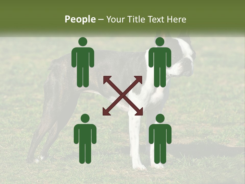 Ownership Home Loan PowerPoint Template