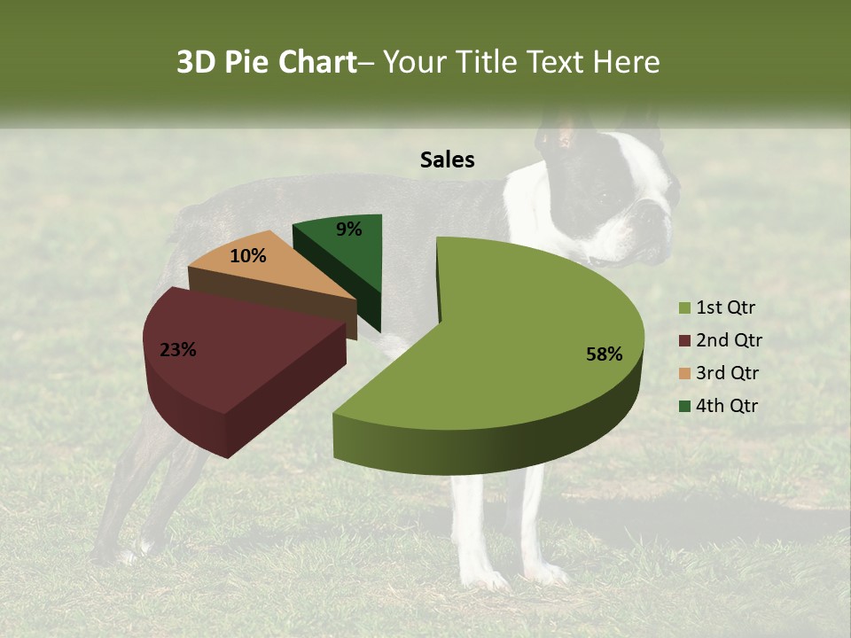Ownership Home Loan PowerPoint Template