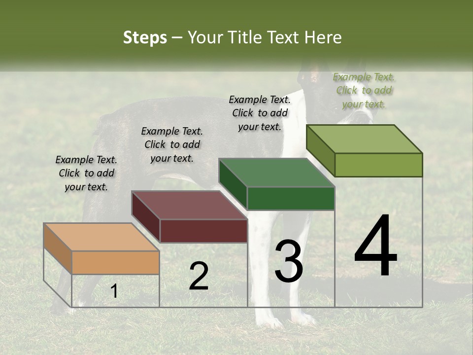 Ownership Home Loan PowerPoint Template