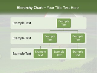 Nature Rent Lawn PowerPoint Template