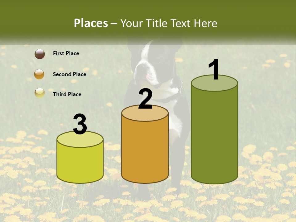 Cloud Garden Background PowerPoint Template