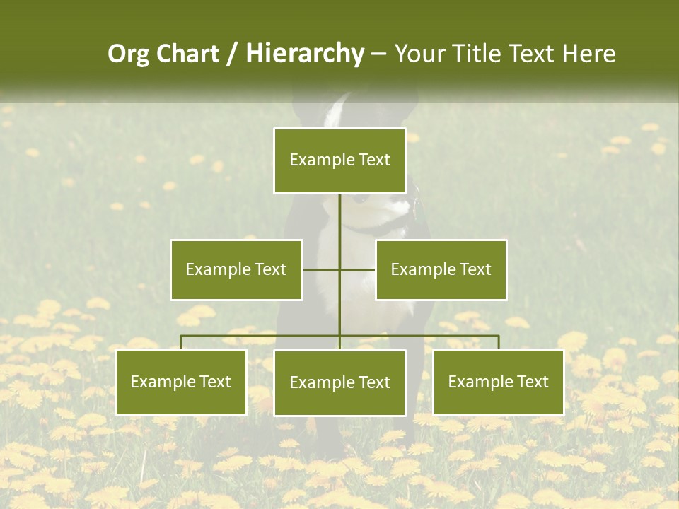 Cloud Garden Background PowerPoint Template