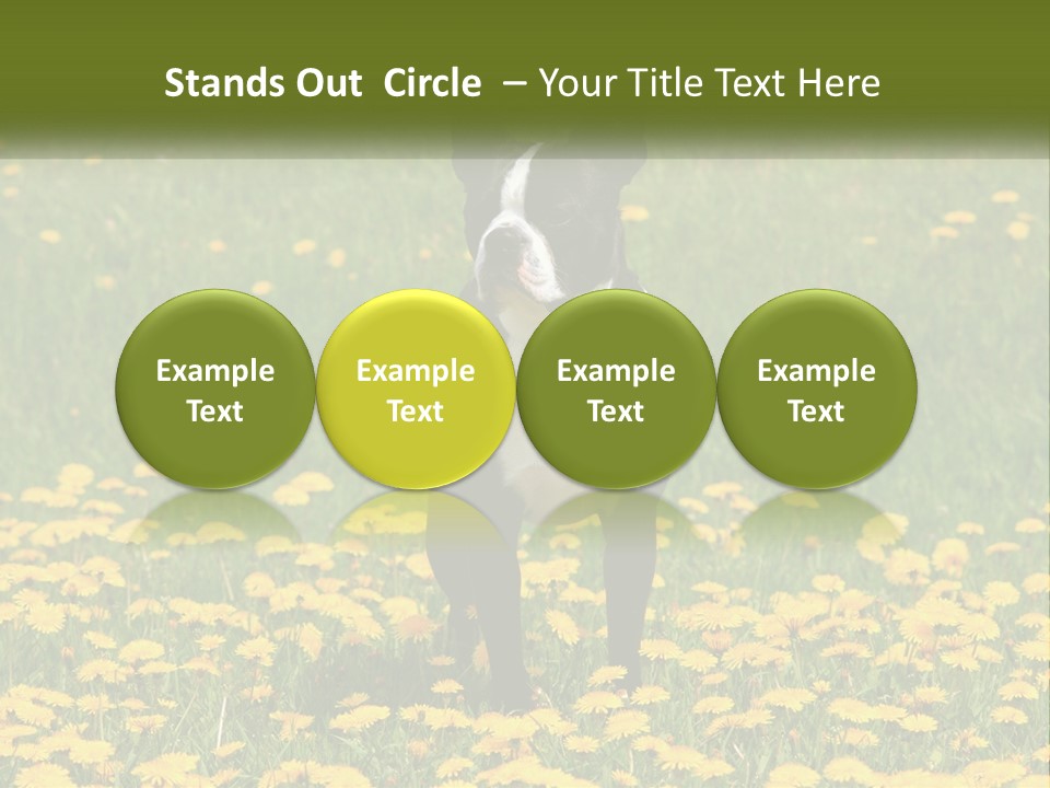 Cloud Garden Background PowerPoint Template