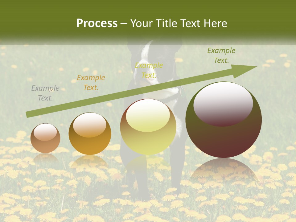 Cloud Garden Background PowerPoint Template