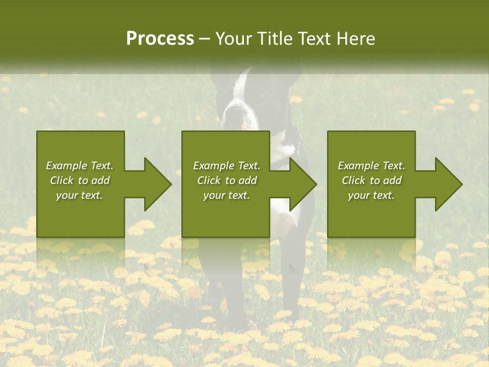 Cloud Garden Background PowerPoint Template