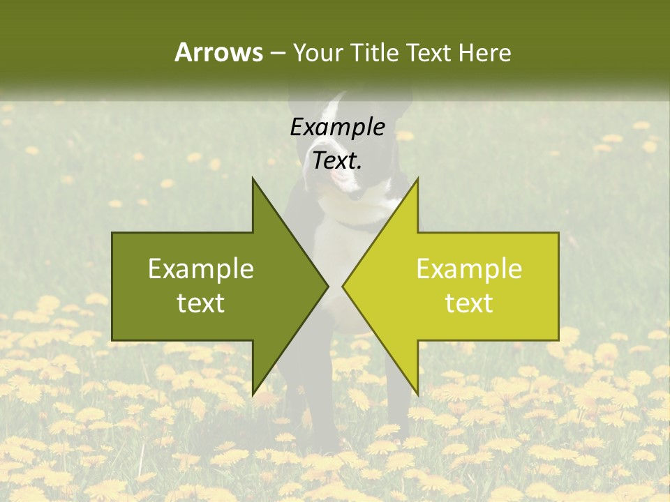 Cloud Garden Background PowerPoint Template