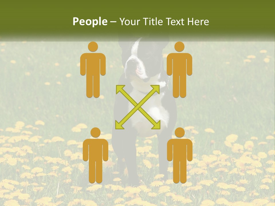 Cloud Garden Background PowerPoint Template