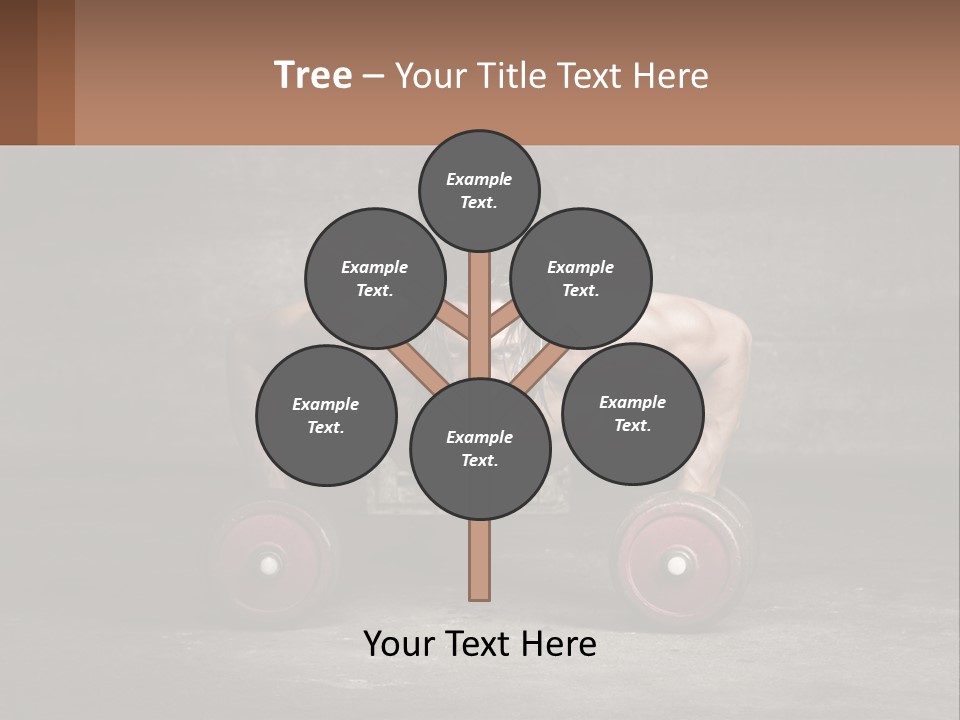 Property Park Lawn PowerPoint Template