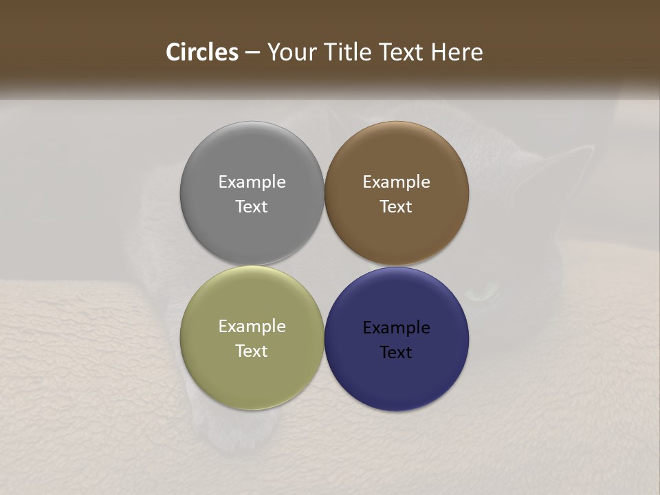 Human Hand New Conceptual PowerPoint Template