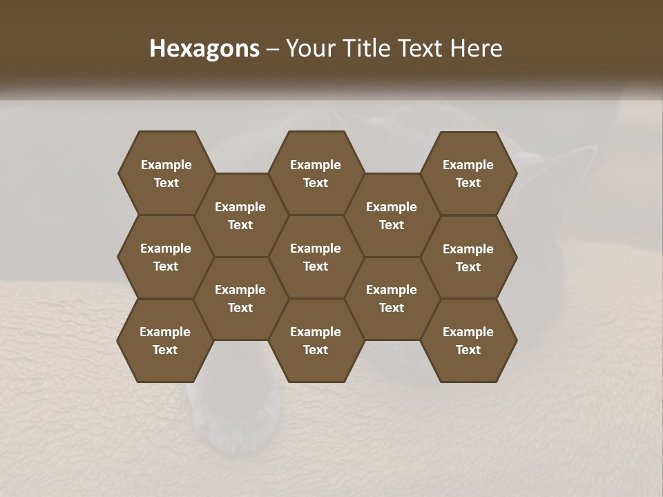 Human Hand New Conceptual PowerPoint Template