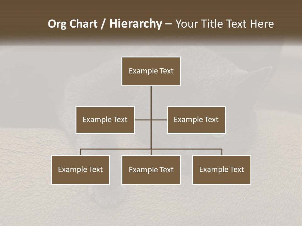 Human Hand New Conceptual PowerPoint Template