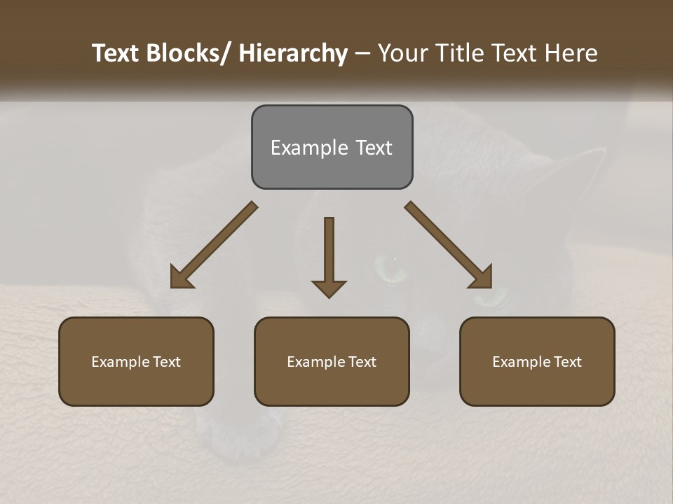 Human Hand New Conceptual PowerPoint Template