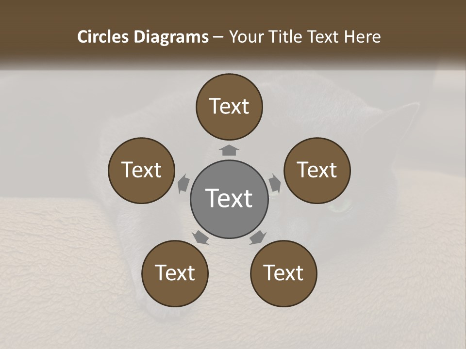 Human Hand New Conceptual PowerPoint Template