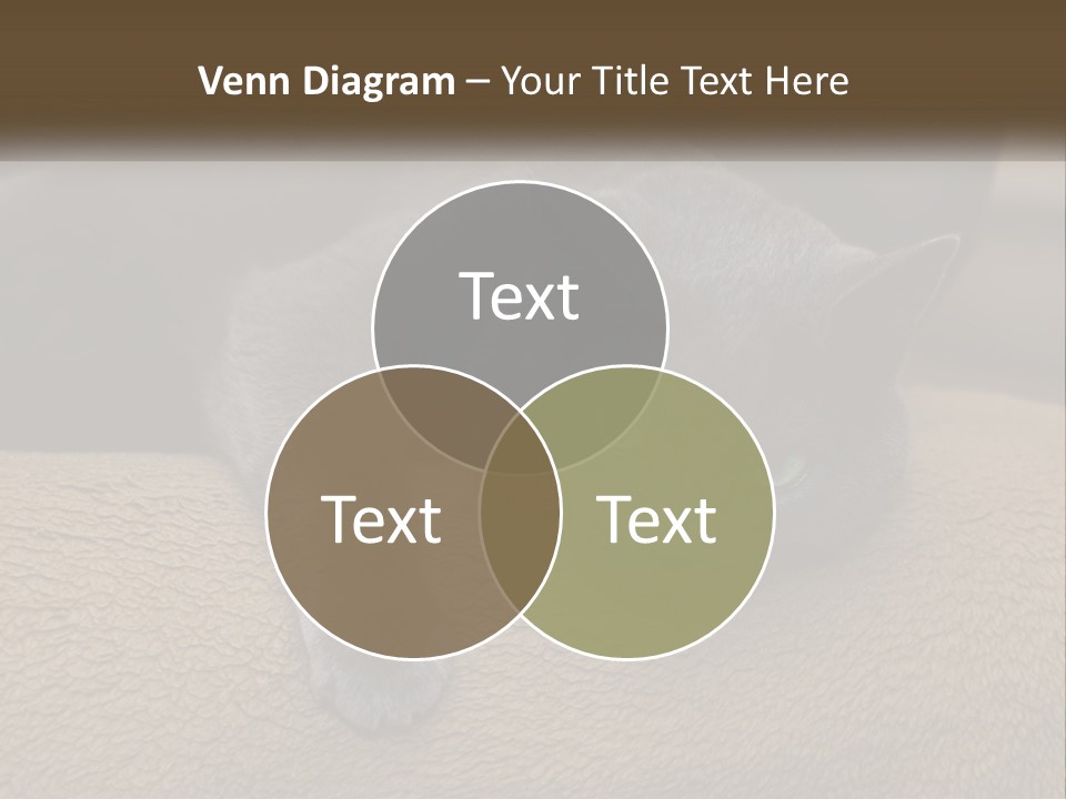 Human Hand New Conceptual PowerPoint Template