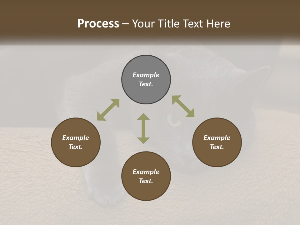 Human Hand New Conceptual PowerPoint Template