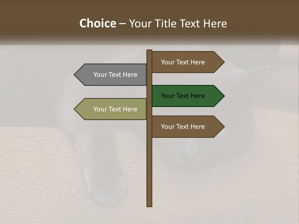 Human Hand New Conceptual PowerPoint Template
