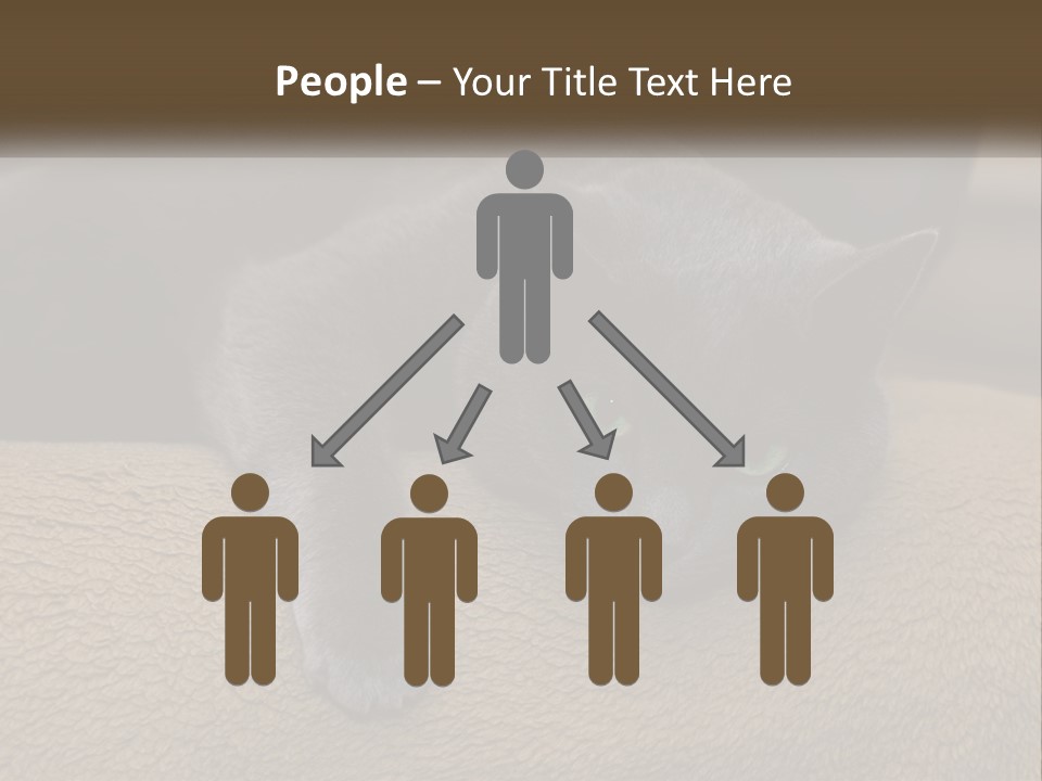 Human Hand New Conceptual PowerPoint Template