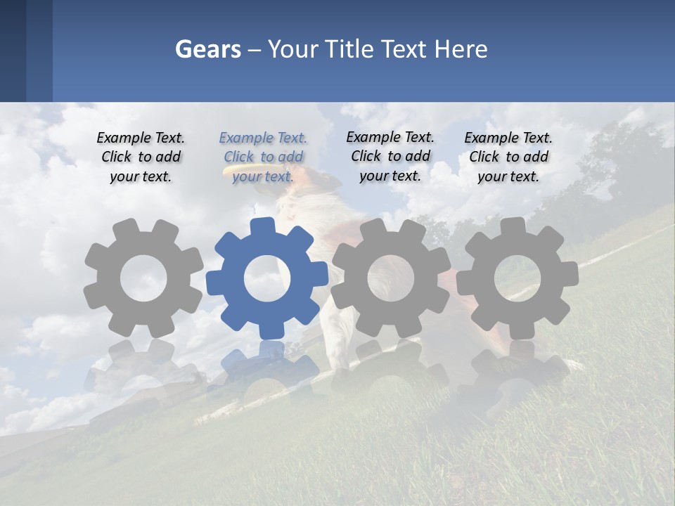 Finance Background Business PowerPoint Template