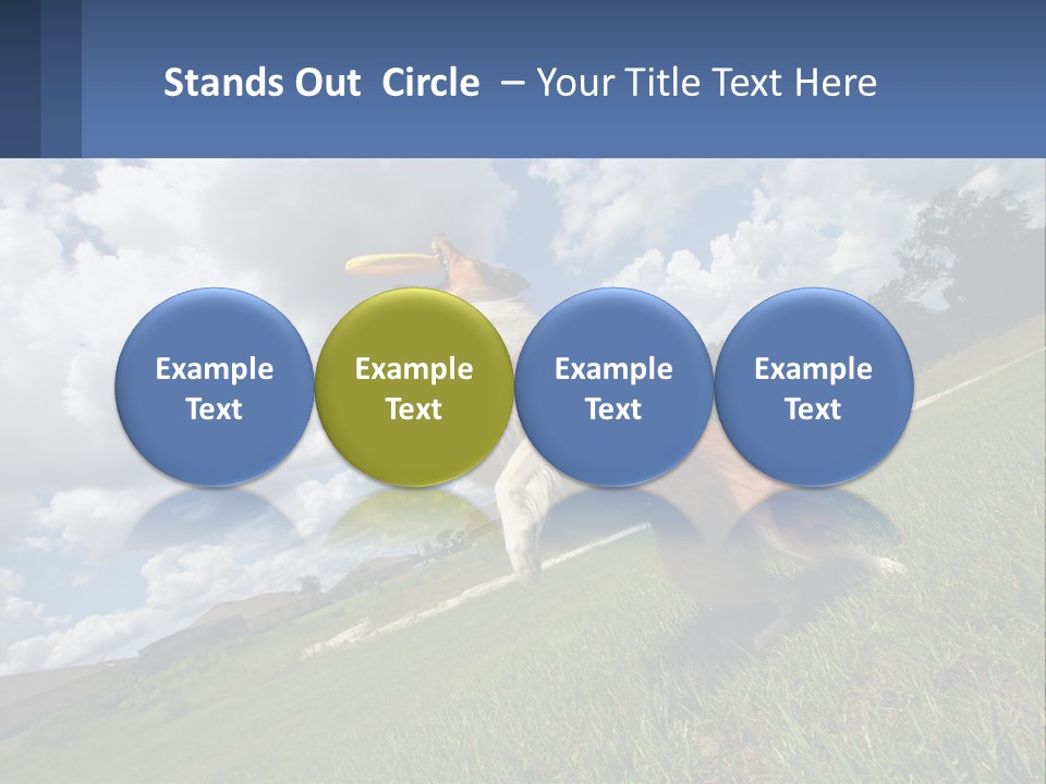 Finance Background Business PowerPoint Template