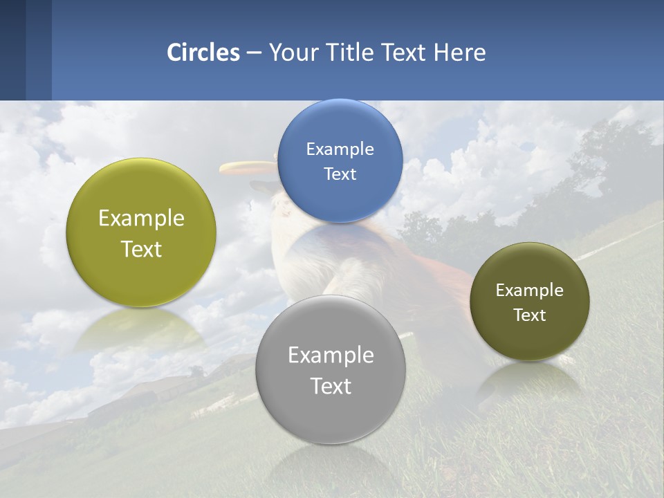 Finance Background Business PowerPoint Template