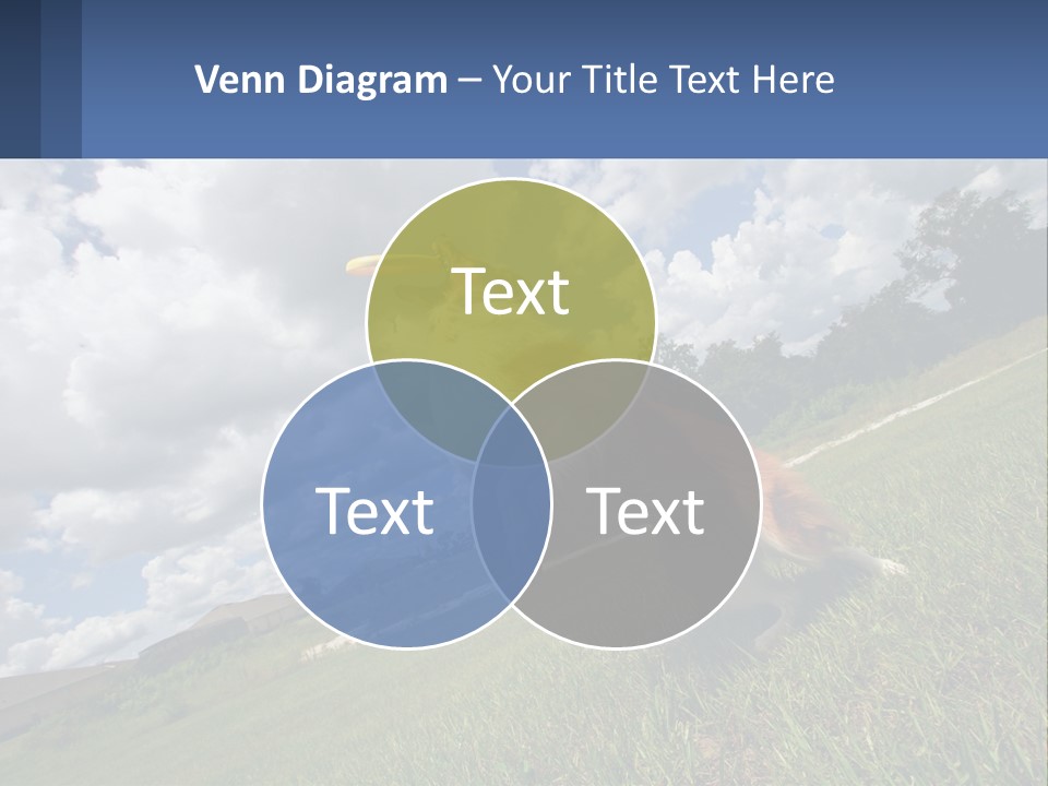 Finance Background Business PowerPoint Template