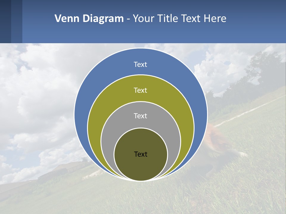 Finance Background Business PowerPoint Template