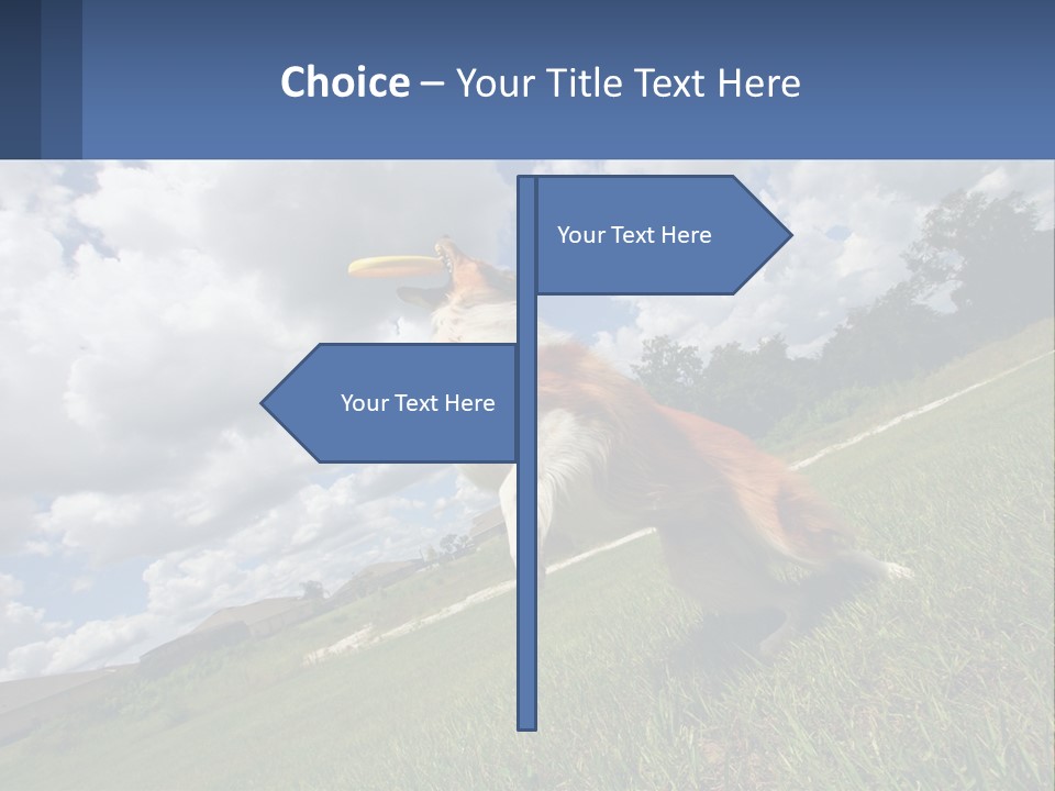 Finance Background Business PowerPoint Template