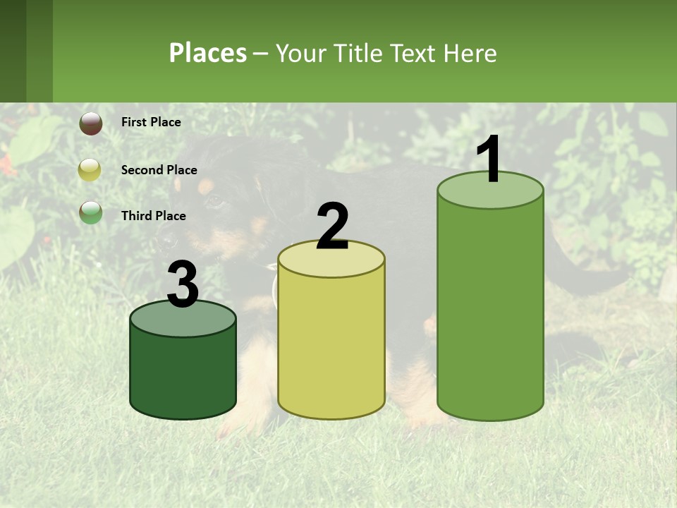 Sky Buy Human Hand PowerPoint Template