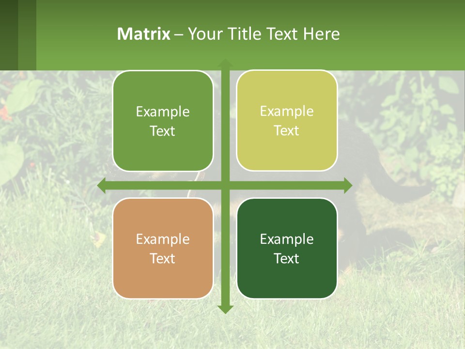 Sky Buy Human Hand PowerPoint Template