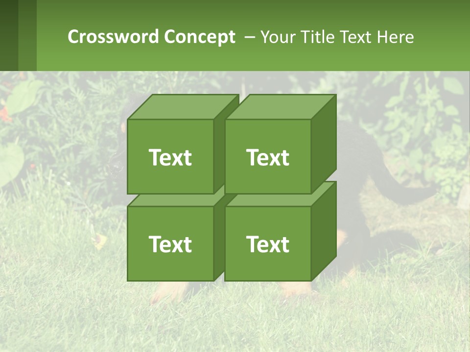 Sky Buy Human Hand PowerPoint Template
