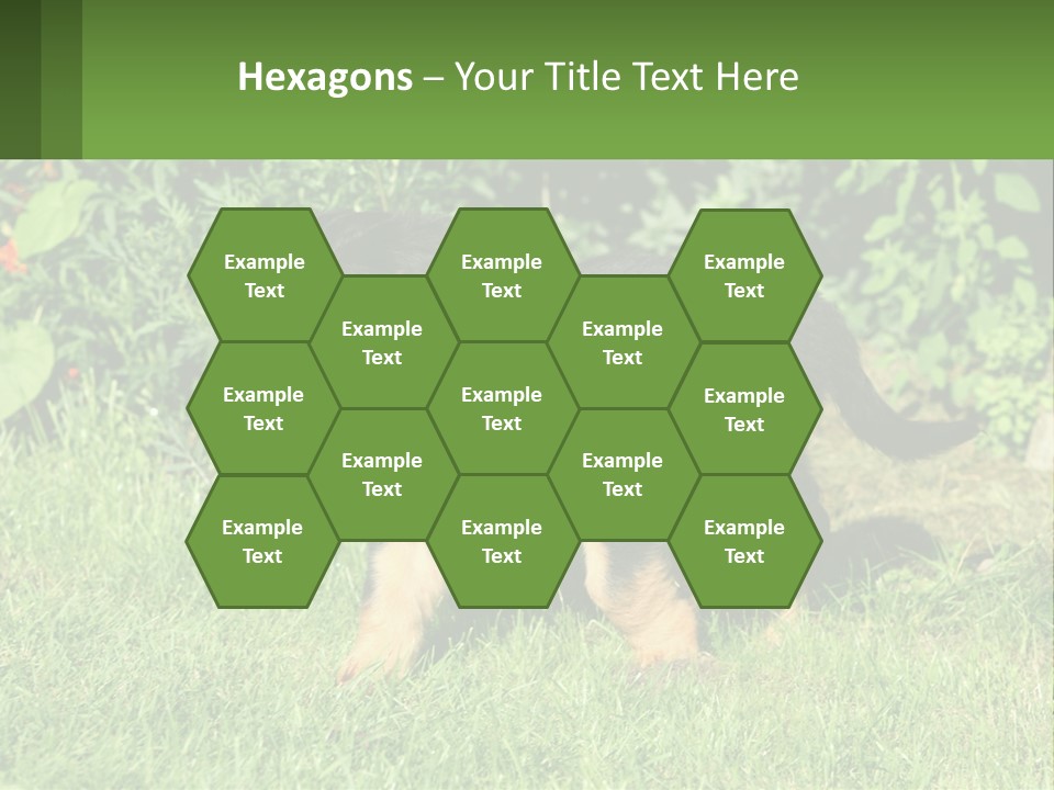 Sky Buy Human Hand PowerPoint Template