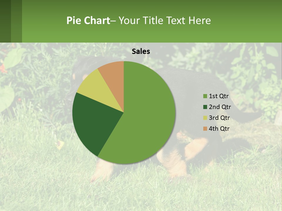 Sky Buy Human Hand PowerPoint Template
