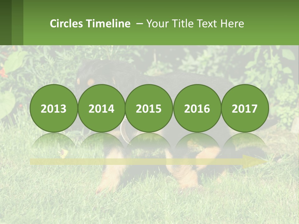 Sky Buy Human Hand PowerPoint Template