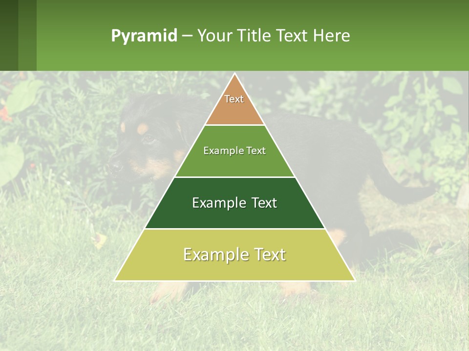 Sky Buy Human Hand PowerPoint Template