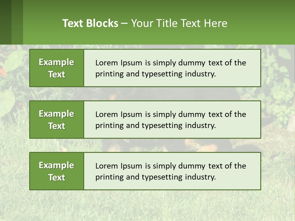 Sky Buy Human Hand PowerPoint Template