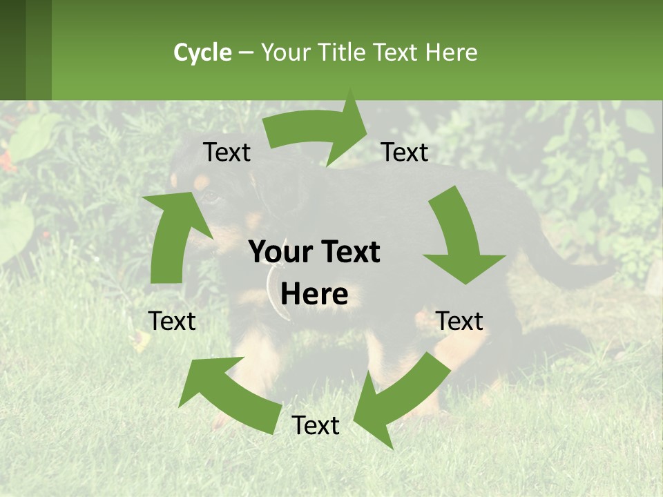 Sky Buy Human Hand PowerPoint Template