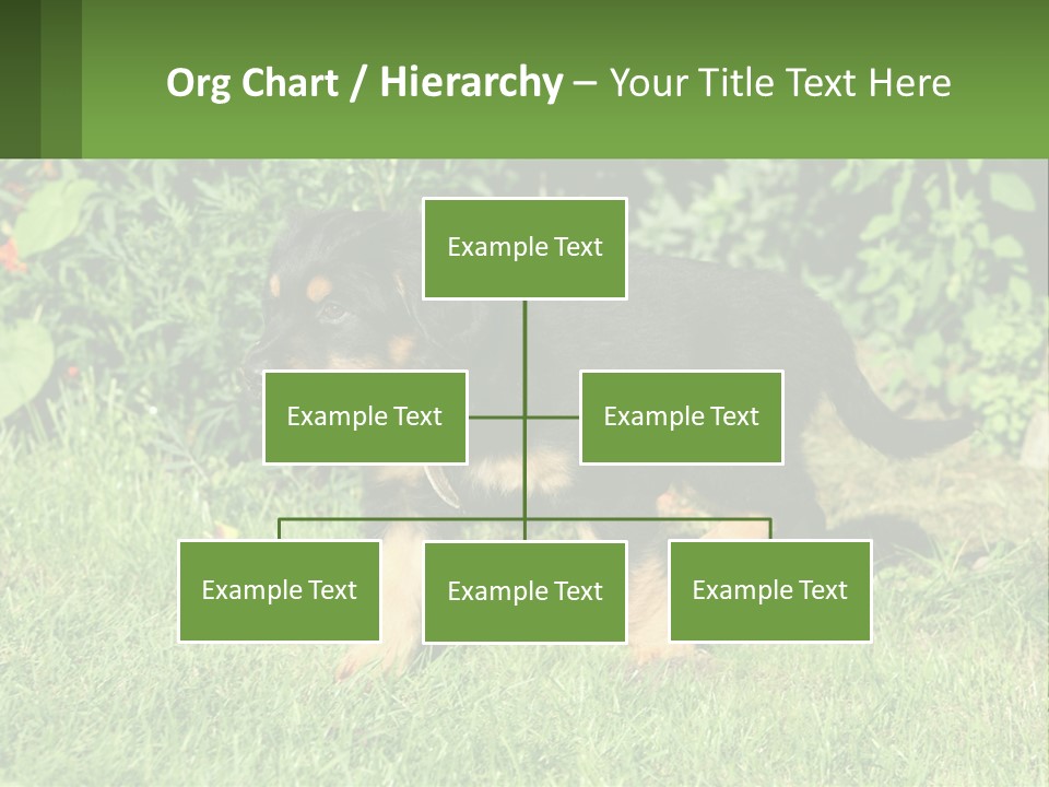 Sky Buy Human Hand PowerPoint Template