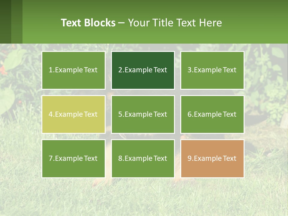 Sky Buy Human Hand PowerPoint Template