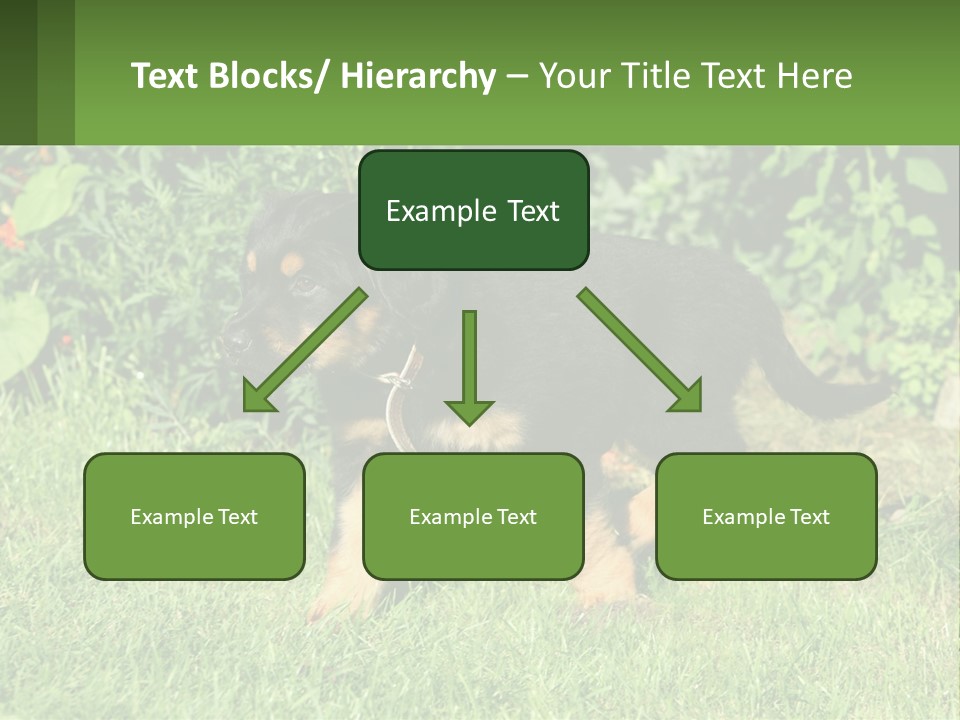 Sky Buy Human Hand PowerPoint Template