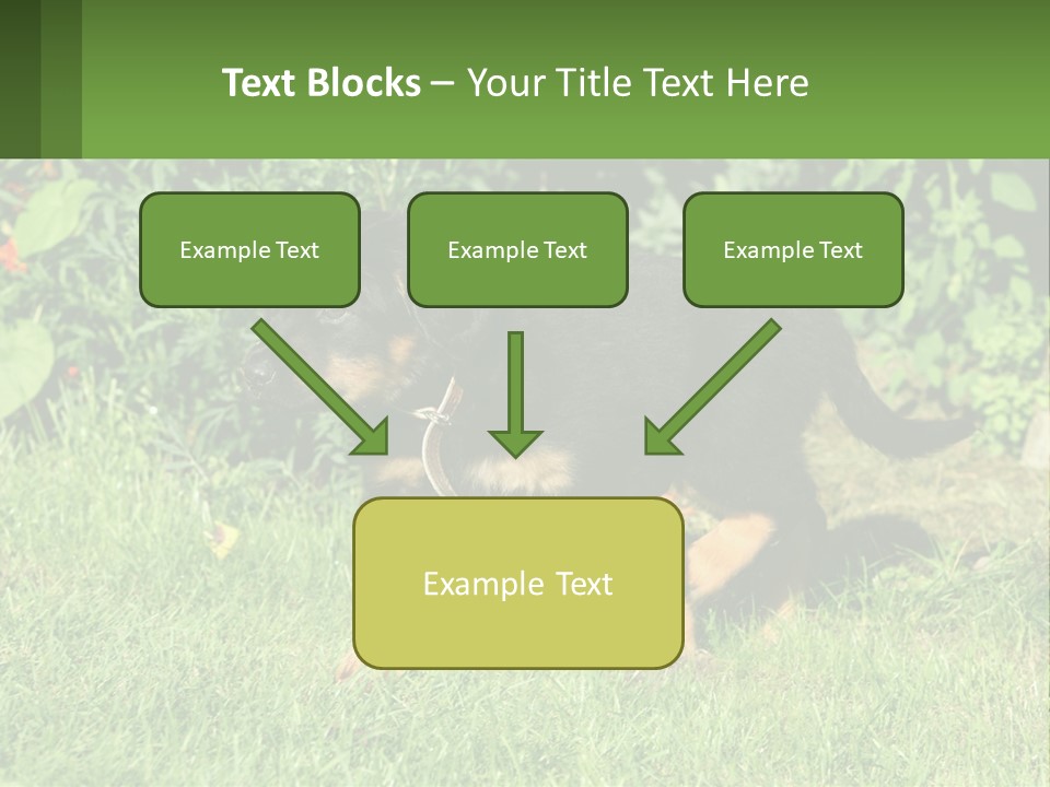 Sky Buy Human Hand PowerPoint Template