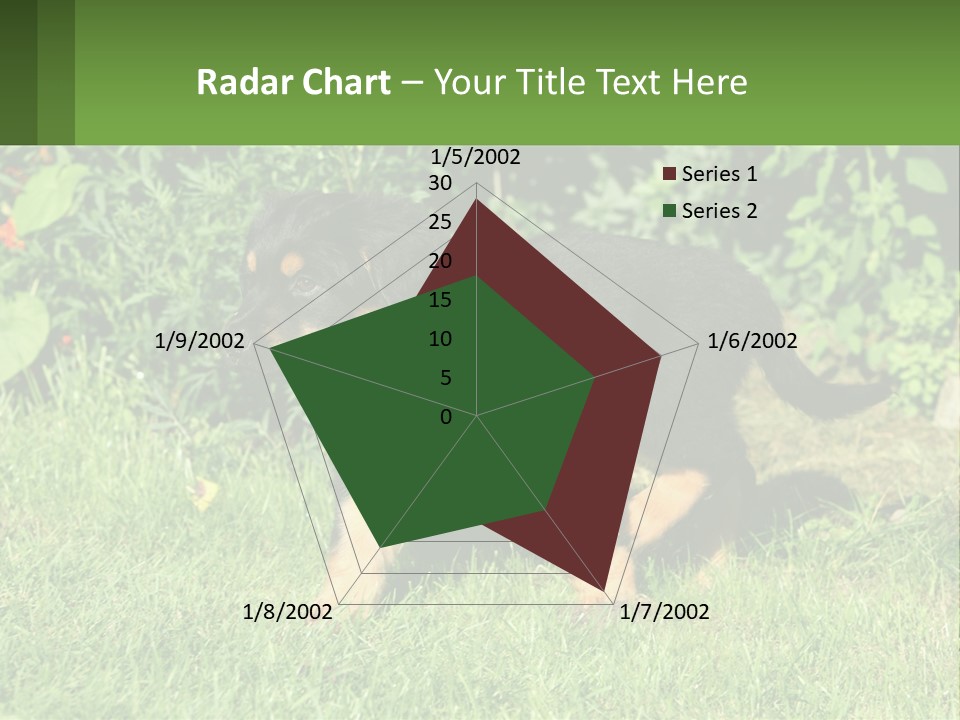 Sky Buy Human Hand PowerPoint Template
