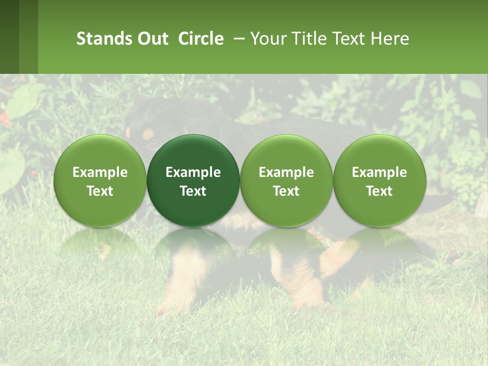 Sky Buy Human Hand PowerPoint Template