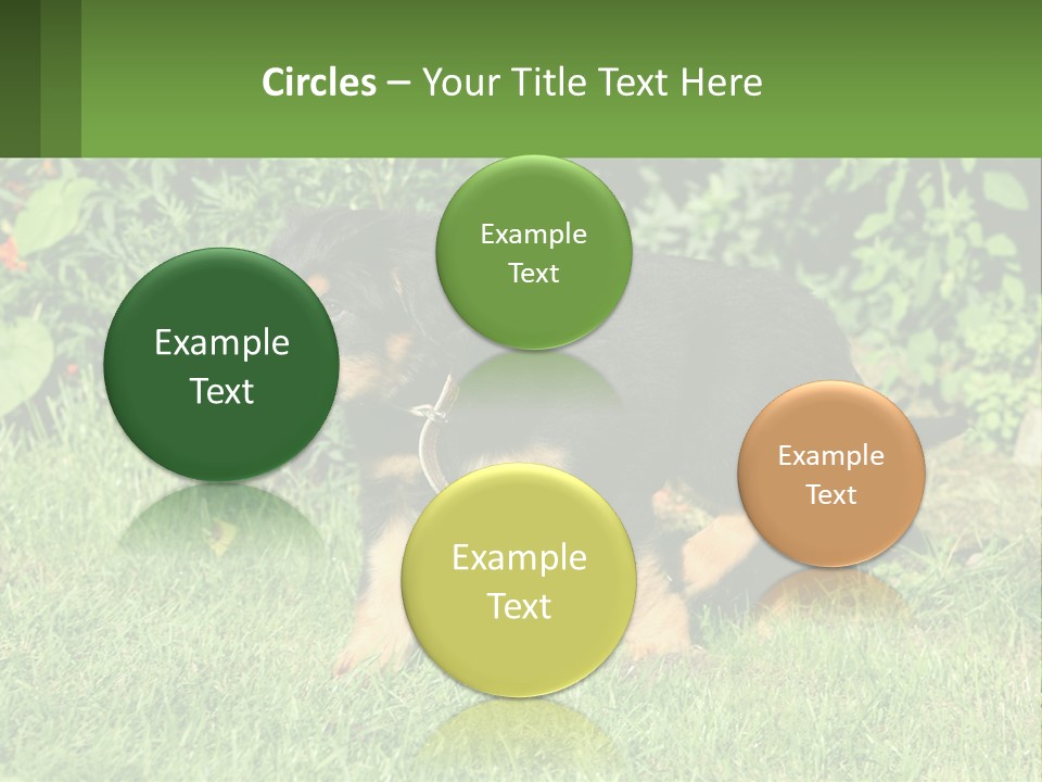 Sky Buy Human Hand PowerPoint Template