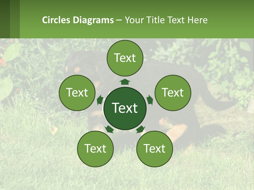 Sky Buy Human Hand PowerPoint Template